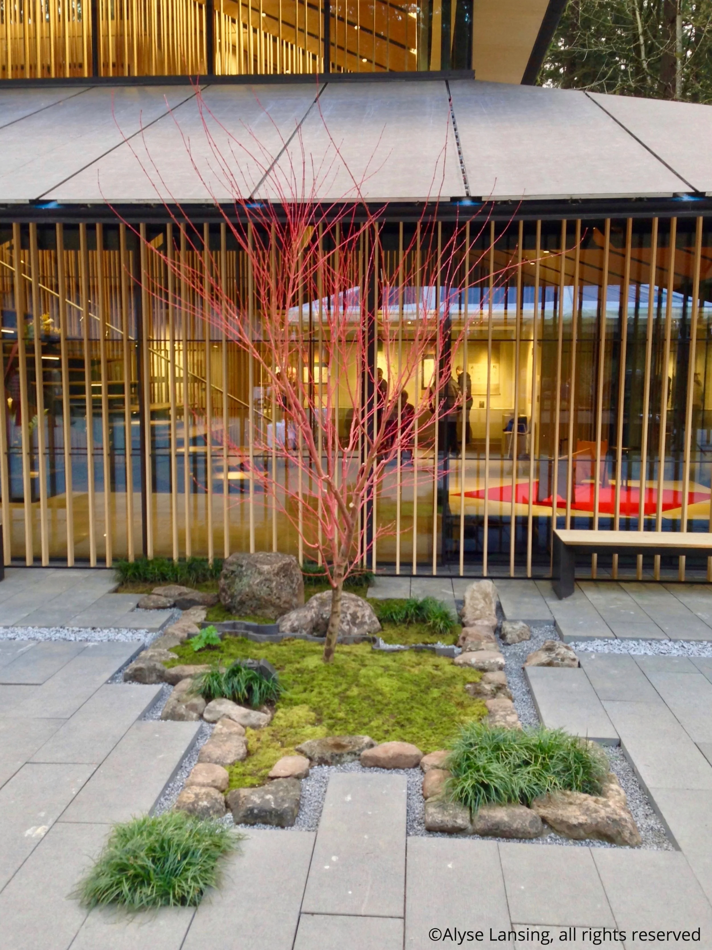 Quick Trip, Japanese Garden — Alyse Lansing - Landscape Design